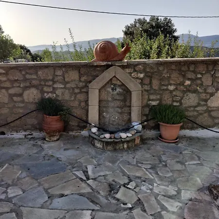 Nicolas Traditional House