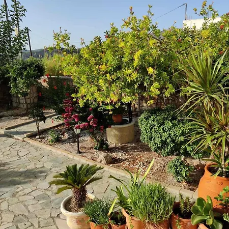 Nicolas Traditional House