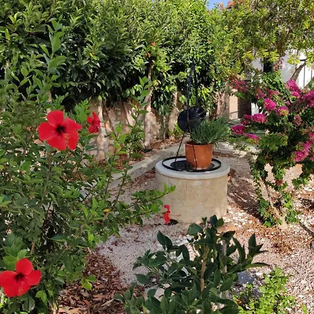 Nicolas Traditional House *